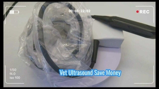 Ανιχνευτής υπερήχων Mindray 75L50EAV Vet